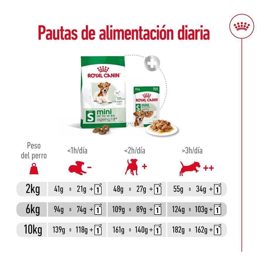 3.5 kg Royal Canin Mini 12+ Ageing pienso para perros&nbsp;senior, , large Imagen numero 9