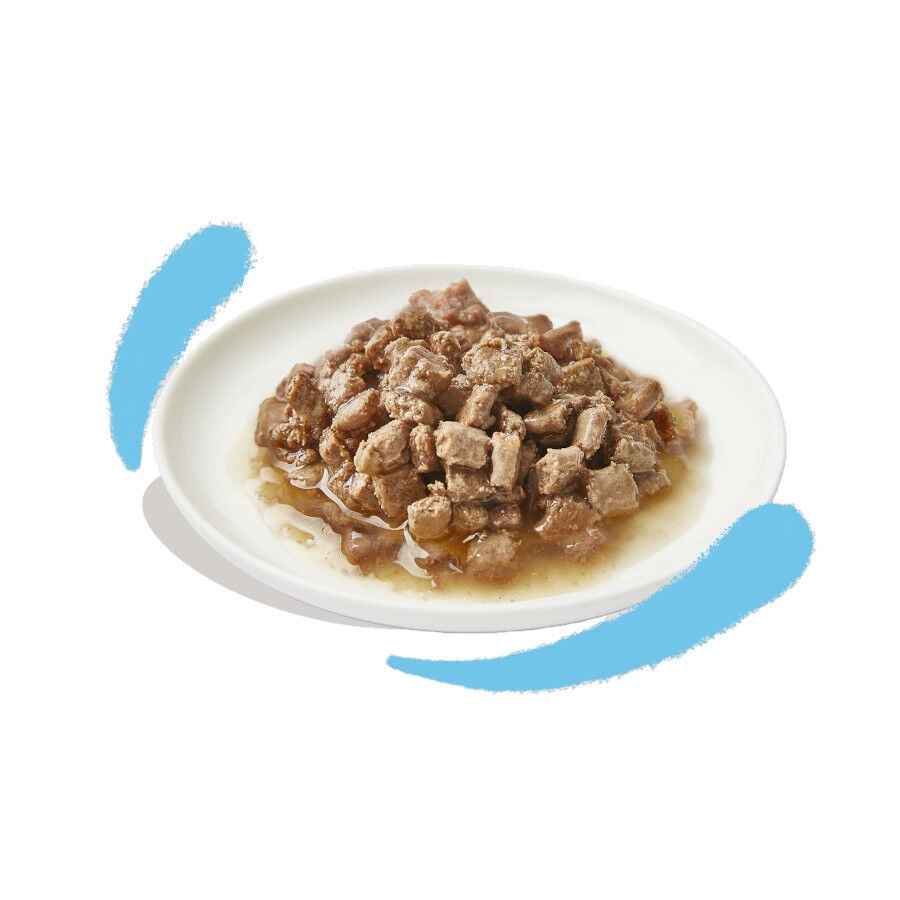 85 g Edgard & Cooper Trocitos de Pollo en Salsa lata para gatos, , large indicador imagen numero 2