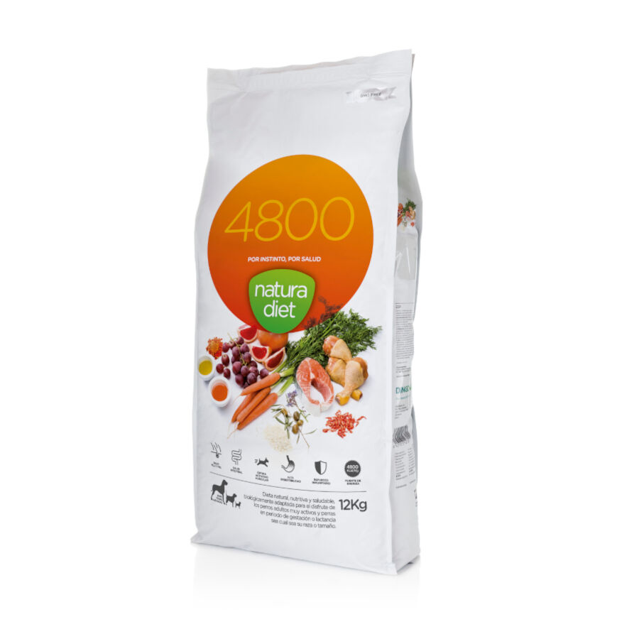 Natura Diet 4800 pienso para perros activos Imagen numero 1