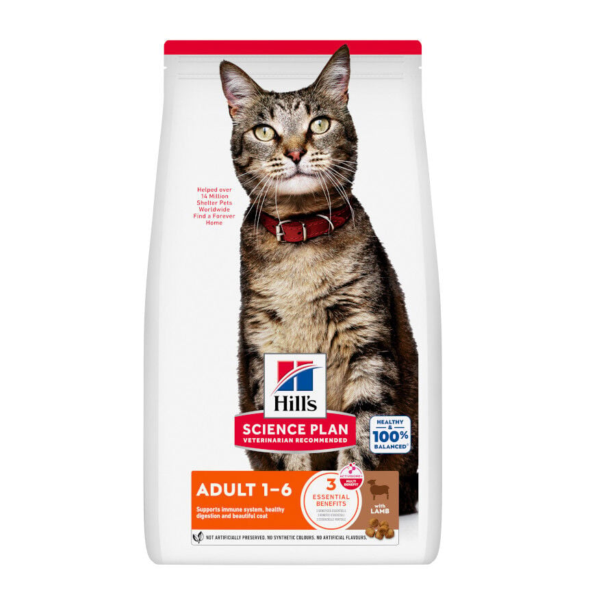 10 kg Hill's Science Plan Adult Cordero pienso para gatos, , large indicador imagen numero 1