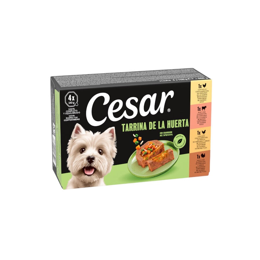 Cesar Recetas de la huerta Tarrina en Pat&eacute; y Gelatina para Perros - Multipack