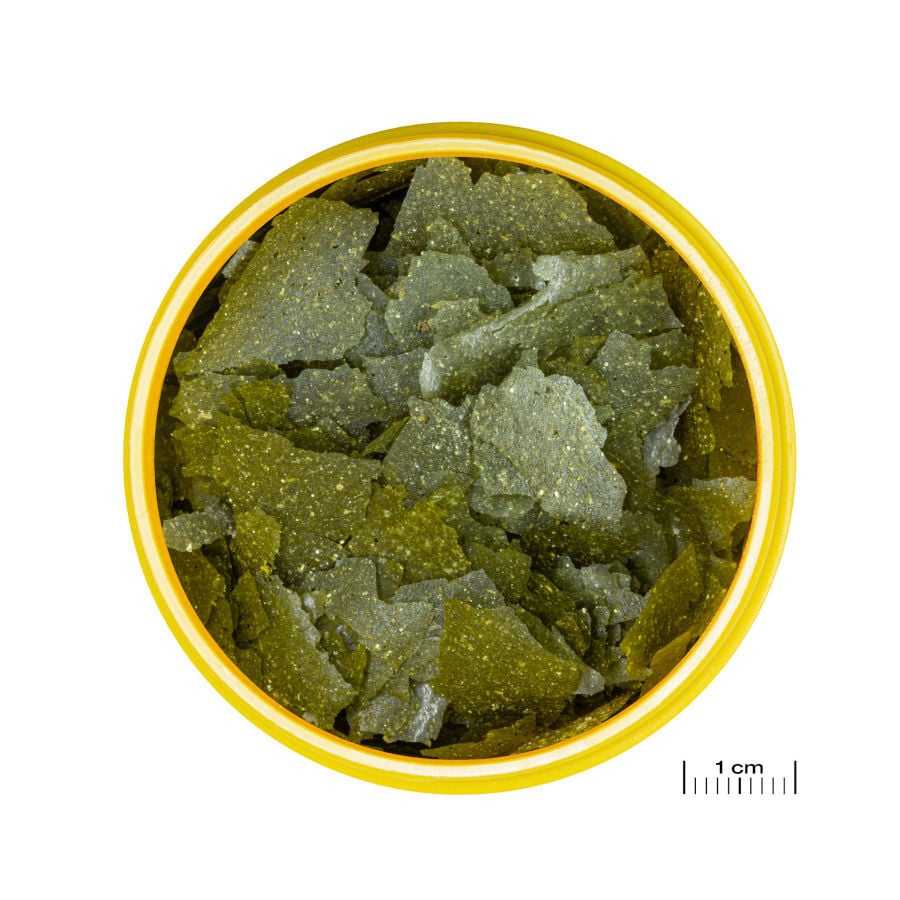 JBL Spirulina Escamas Vegetales para peces algu&iacute;voros, , large Imagen numero 2