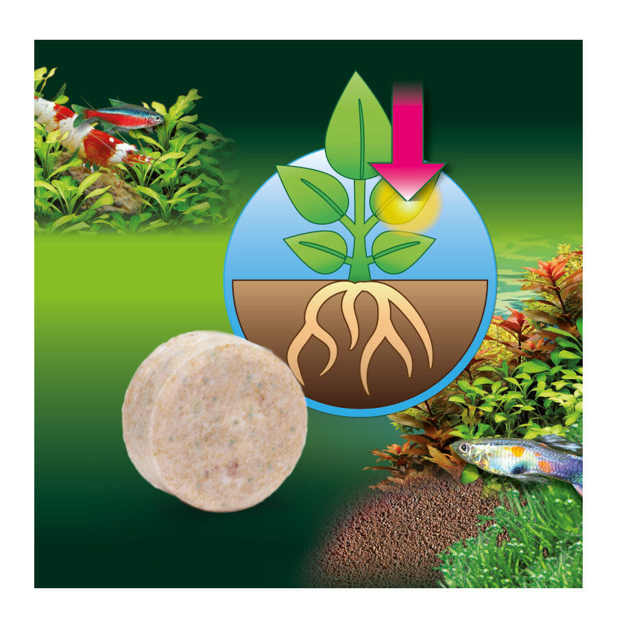 JBL Proflora Ferropol Tabletas Fertilizantes para plantas para acuarios de agua dulce, , large Imagen numero 3