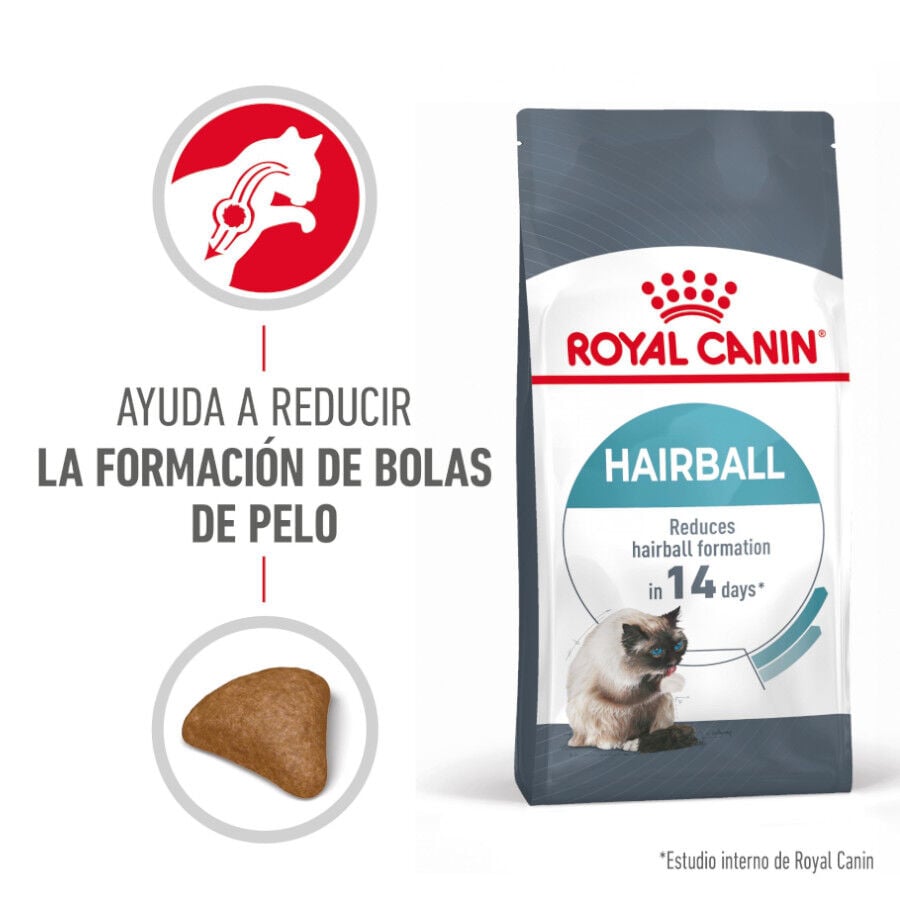 10 kg Royal Canin Intense Hairball pienso para gatos, , large Imagen numero 2