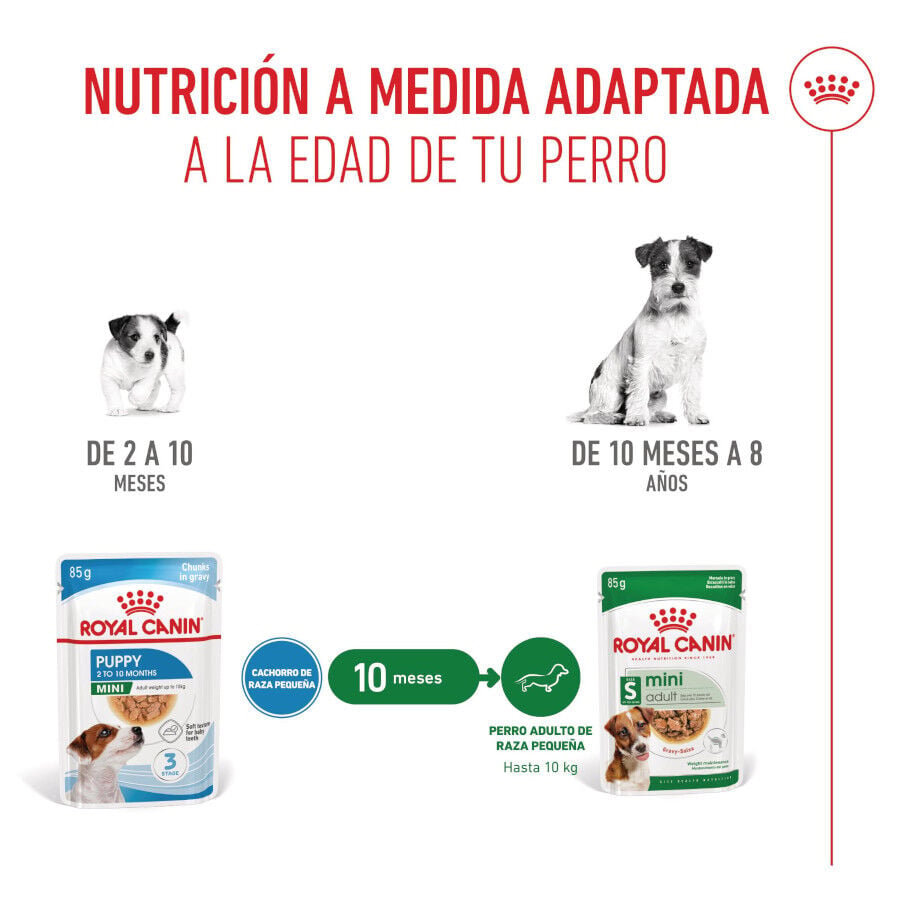 85 g Royal Canin Mini Puppy sobre en salsa, , large indicador imagen numero 6