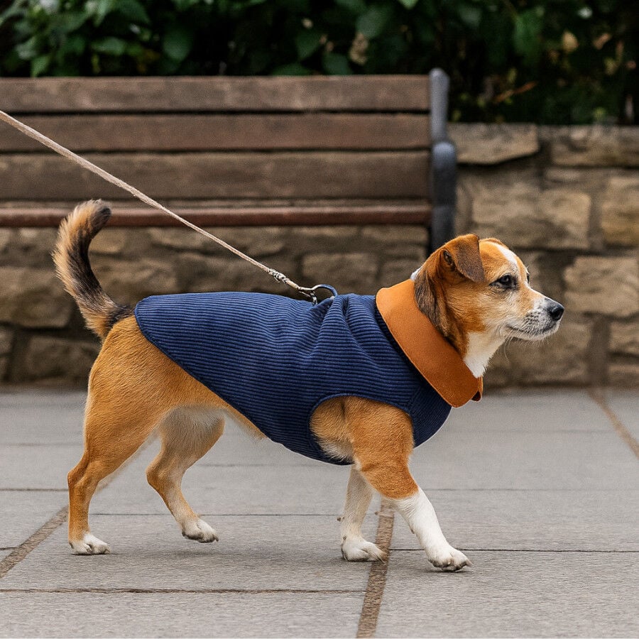 Outech Abrigo Estilo Aviador Rosa y Azul para perros, , large Imagen numero 1
