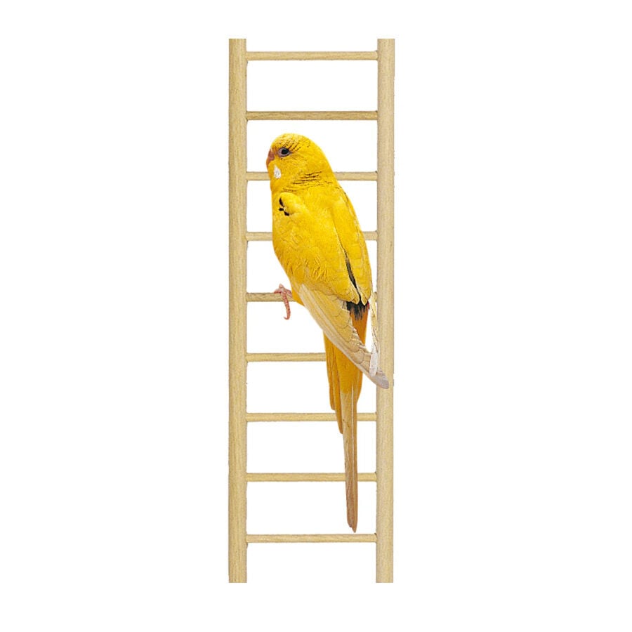 Ferplast PA 4006 escalera para p&aacute;jaros, , large Imagen numero 1