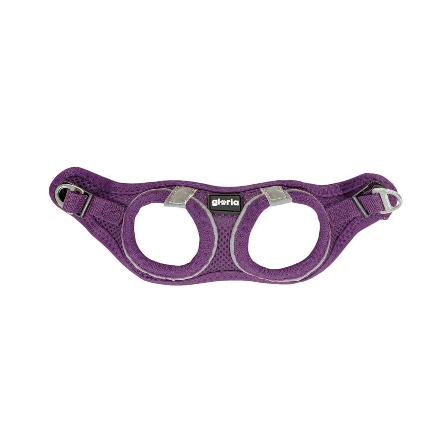 Gloria Air Mesh Trek Star Arn&eacute;s Morado para perros, , large indicador imagen numero 2