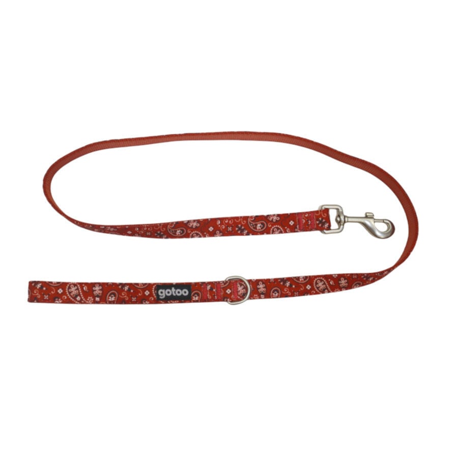 Gotoo Correa estampada cachemira rojo para perro, , large Imagen numero 1