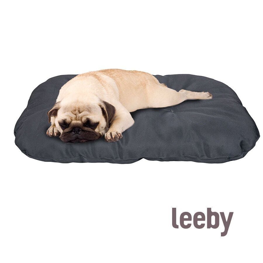 Leeby Coj&iacute;n Ovalado negro para perros