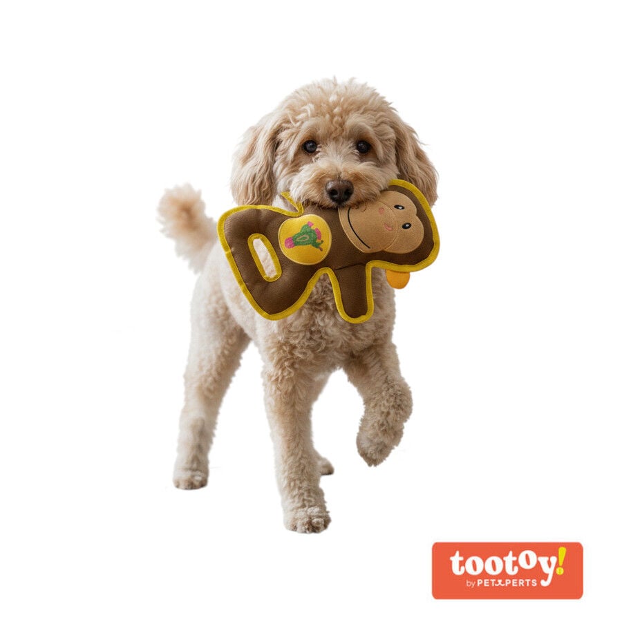 Tootoy! Mono Mordedor de Peluche Resistente para perros, , large Imagen numero 1