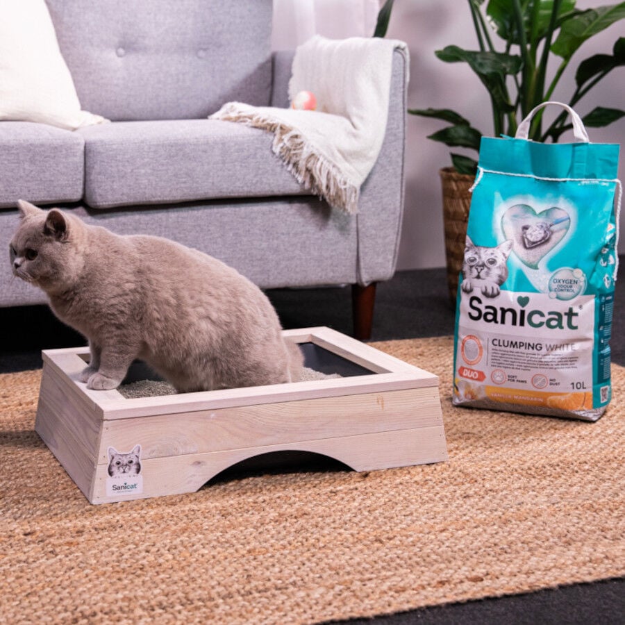 10 L Sanicat Clumping White Duo Arena Aglomerante para gatos, , large Imagen numero 4