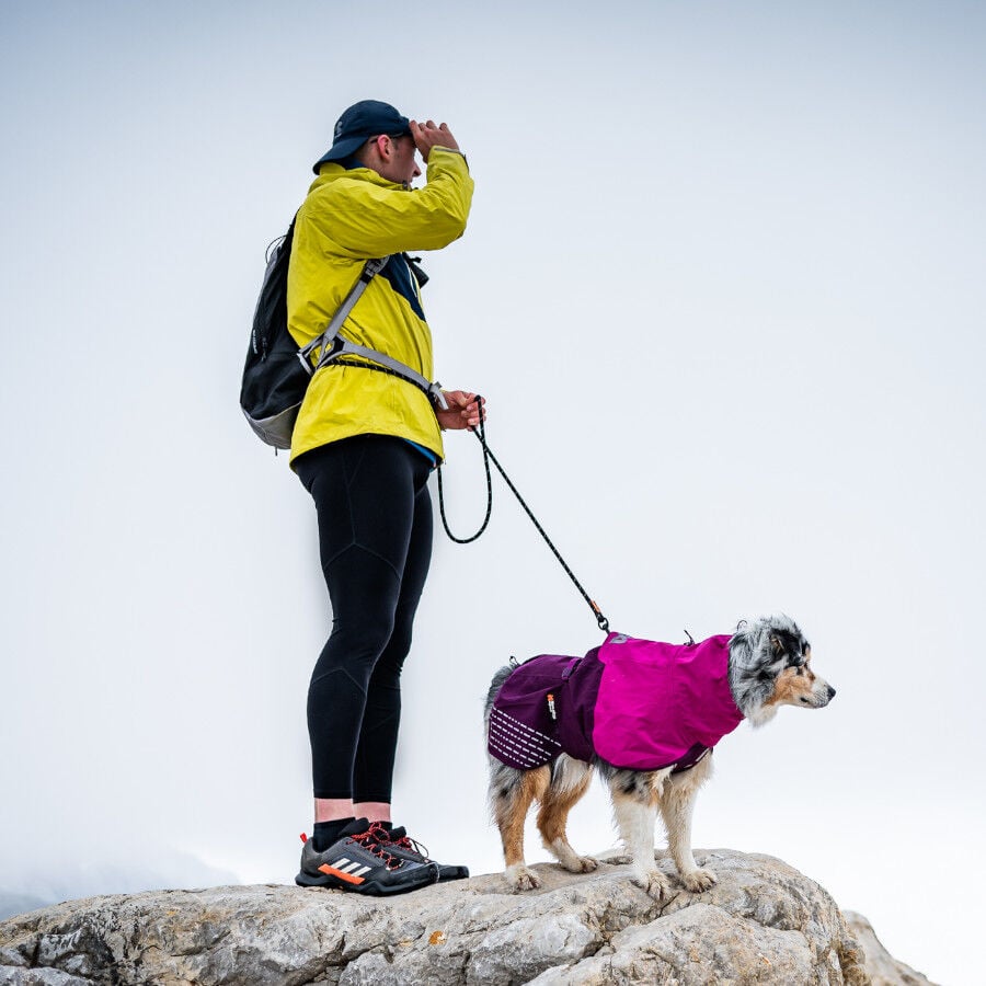 Non-stop dogwear Fjord Chubasquero Impermeable P&uacute;rpura para perros, , large indicador imagen numero 3