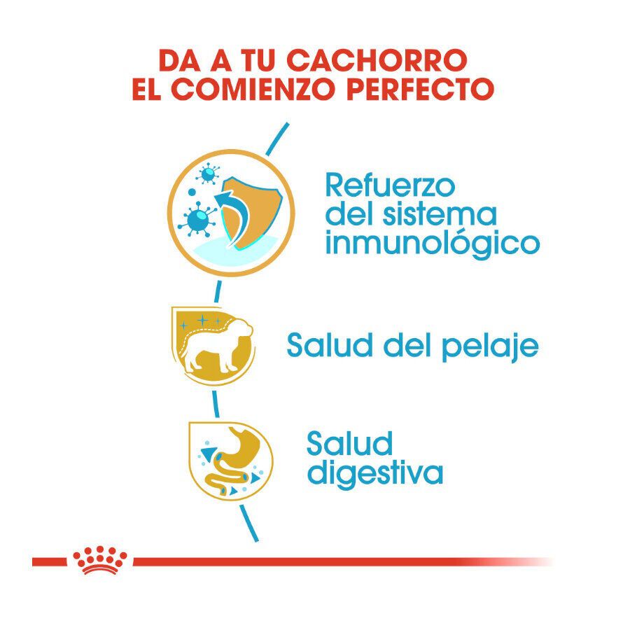 7.5 kg Royal Canin Puppy Yorkshire Terrier pienso para perros, , large Imagen numero 5