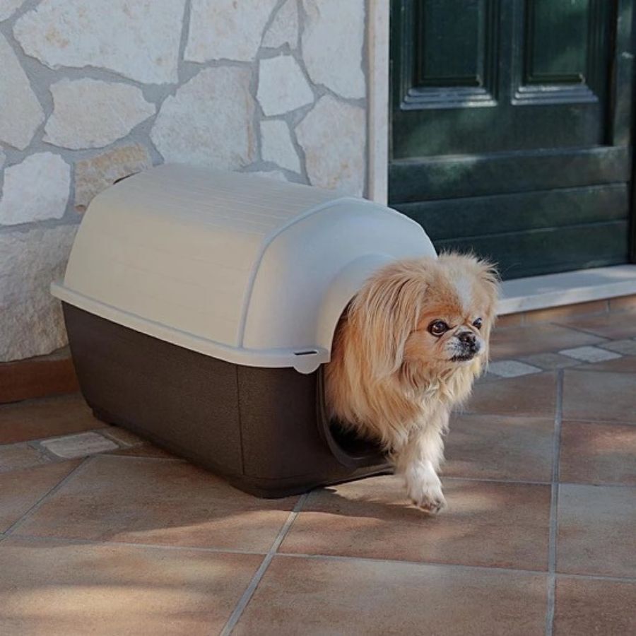 Ferplast Kenny Caseta de Pl&aacute;stico Marr&oacute;n para perros, , large Imagen numero 1