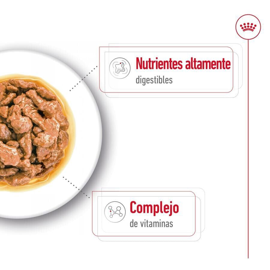 85 g Royal Canin Mini Adult sobre en salsa para perros, , large indicador imagen numero 4