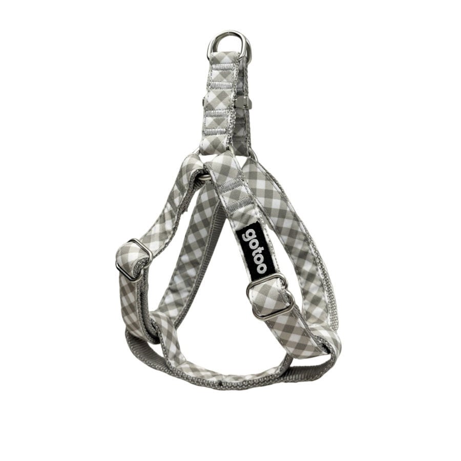 Gotoo Arn&eacute;s estampado cuadro vichy gris para perros, , large Imagen numero 1