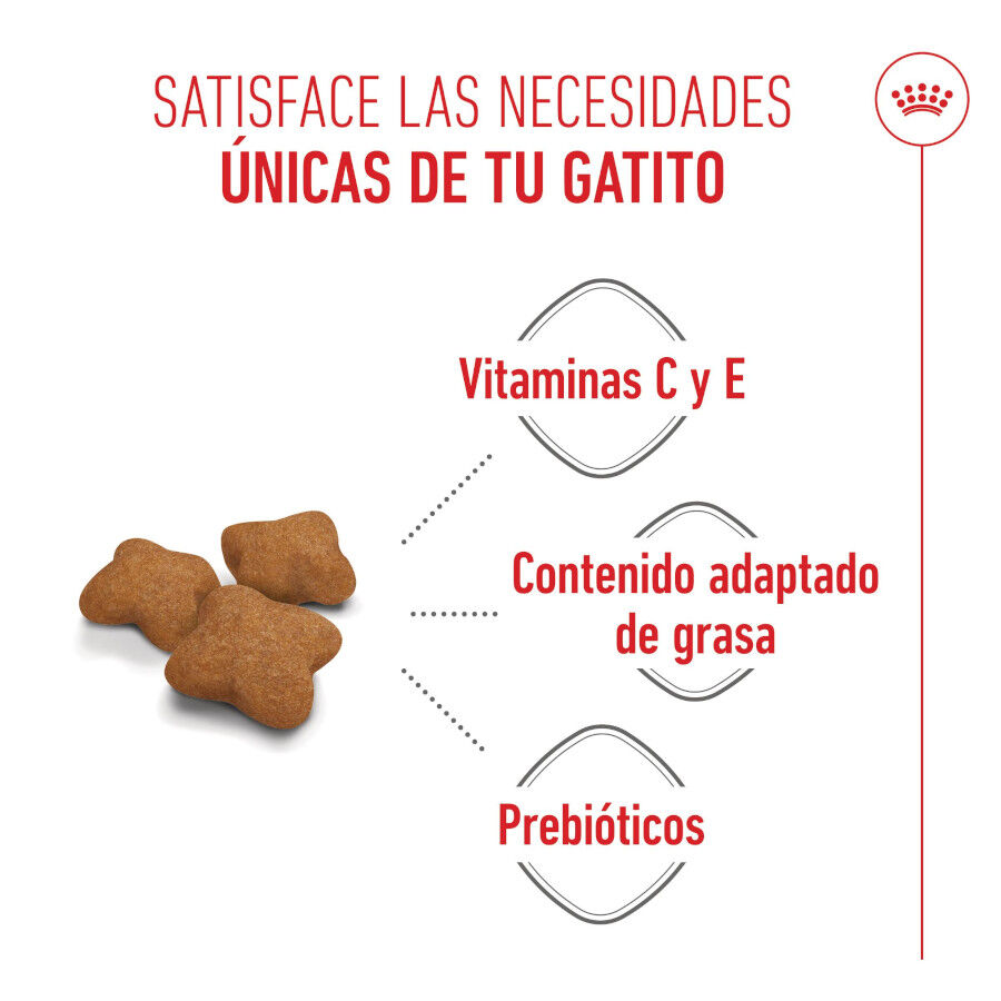 3.5 kg Royal Canin Kitten Sterilised pienso para gatos, , large Imagen numero 4