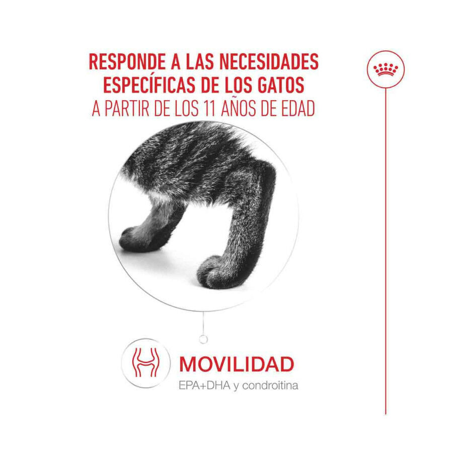 4 kg Royal Canin Ageing 11+ pienso para gatos&nbsp;senior, , large indicador imagen numero 6