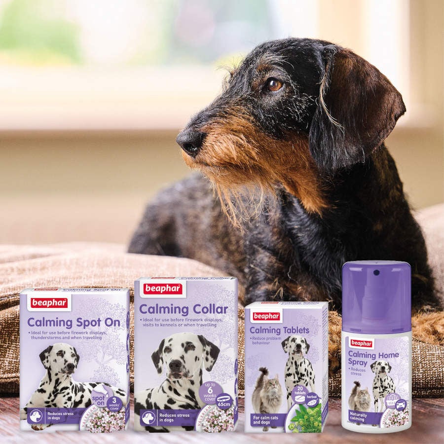 Beaphar Calming Pipetas Relajantes para perros, , large indicador imagen numero 3