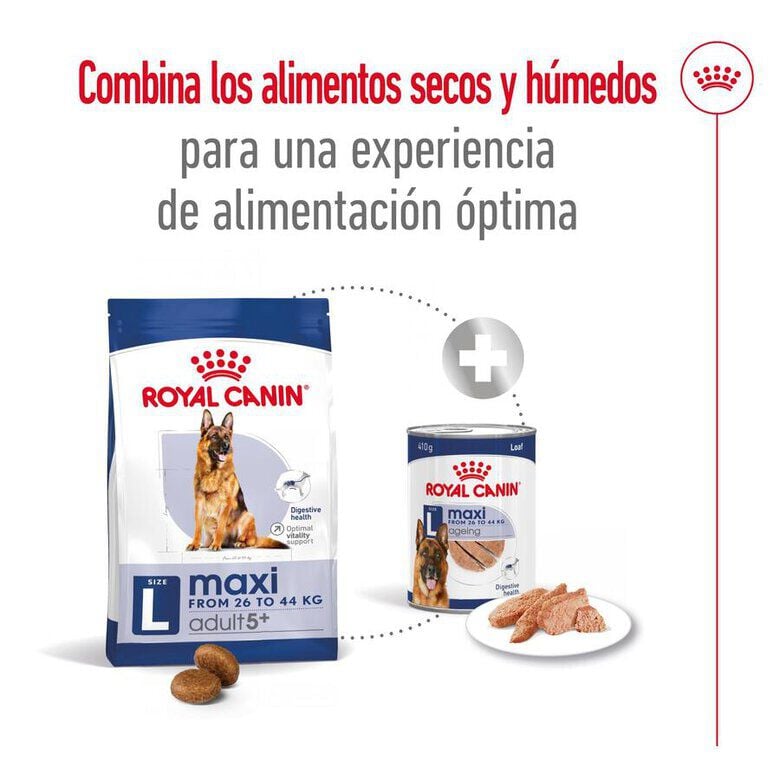 15 kg Royal Canin Maxi Adult 5+ pienso para perros senior de raza grande, , large indicador imagen numero 11