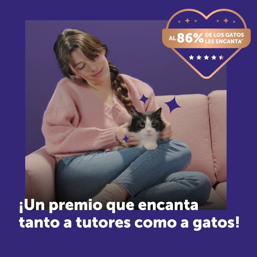 6 barritas Feliway Ceva Happy Snack Salm&oacute;n para gatos, , large indicador imagen numero 8