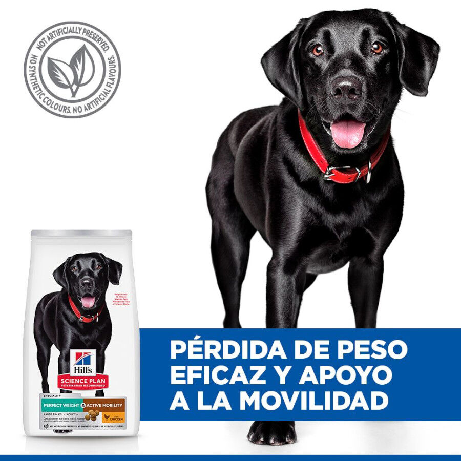 12 kg Hill's Science Plan Perfect weight y Active Mobility pollo pienso para perros grandes, , large Imagen numero 4