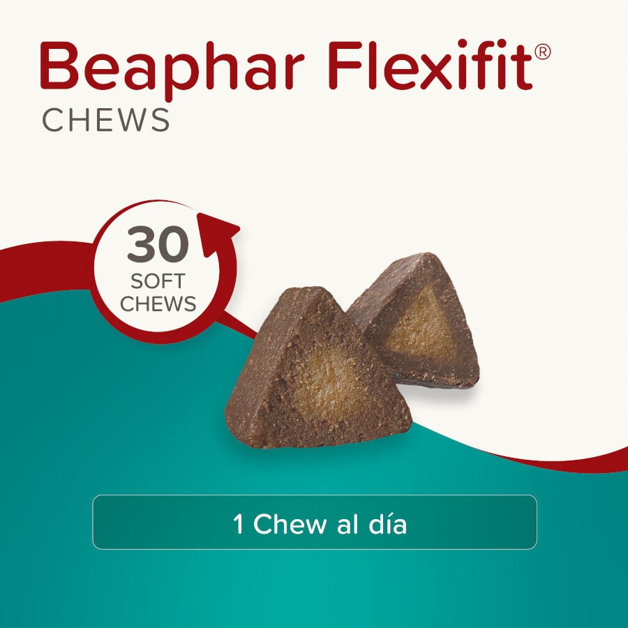 175 g Beaphar Flexifit Chews Condroprotector para perros, , large Imagen numero 5