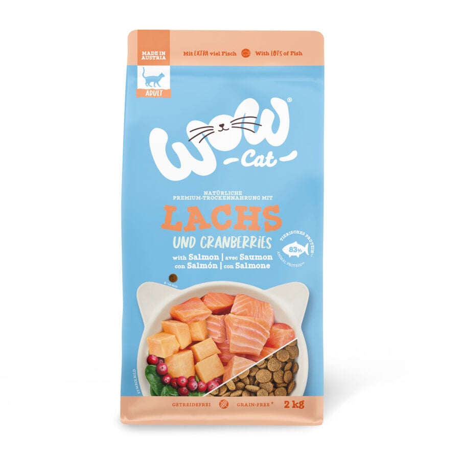Wow Adult Salm&oacute;n pienso para gatos