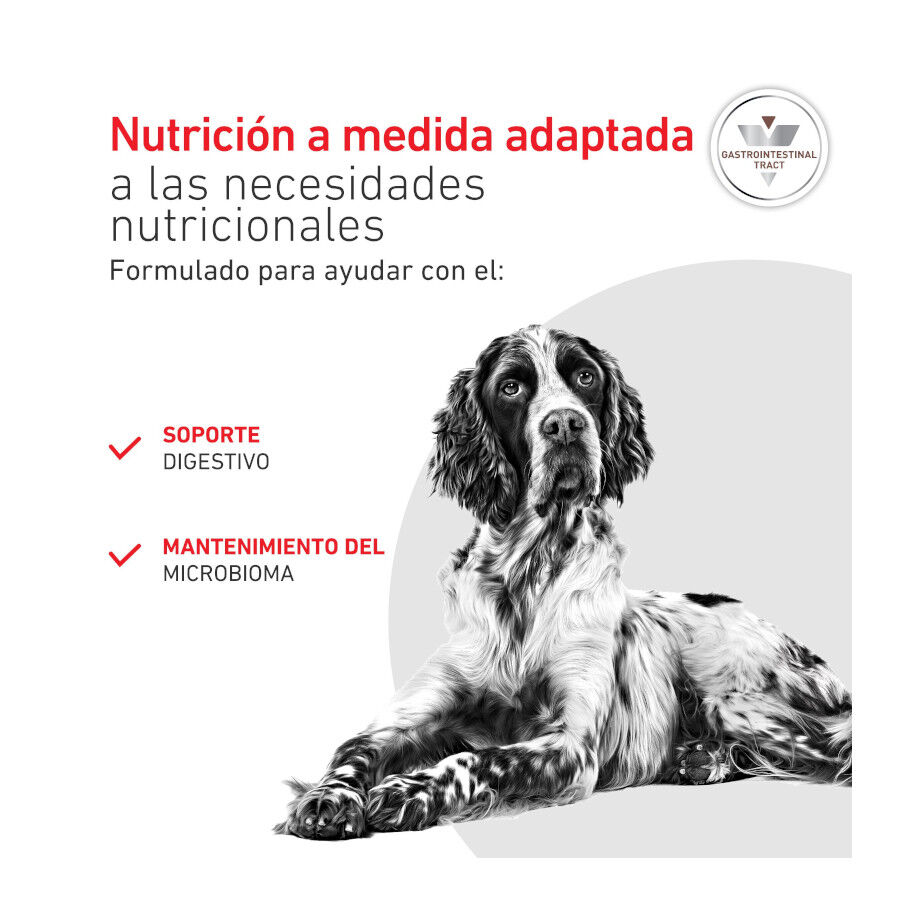 400 g Royal Canin Veterinary Diet Gastrointestinal lata para perros  , , large indicador imagen numero 4