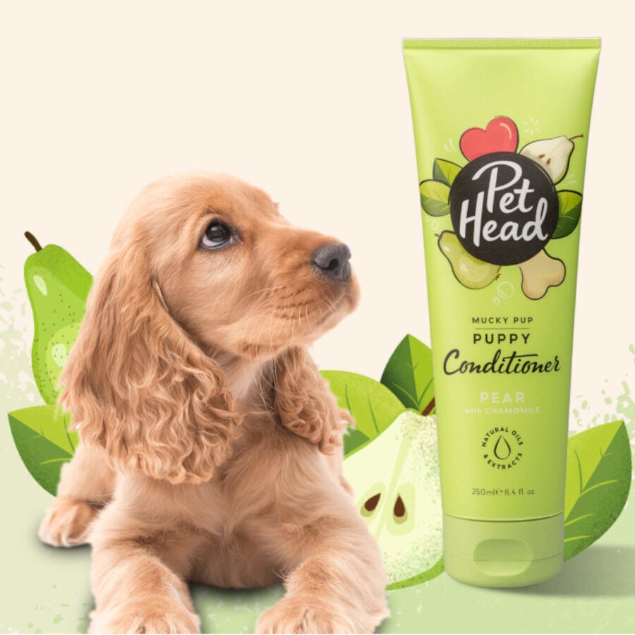 Pet Head acondicionador de pera para cachorros, , large indicador imagen numero 2
