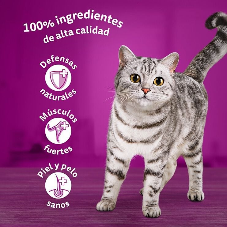 4 sobres x 85 g Whiskas Salm&oacute;n y At&uacute;n Gelatina en Bolsita para Gatos Adultos, , large Imagen numero 5