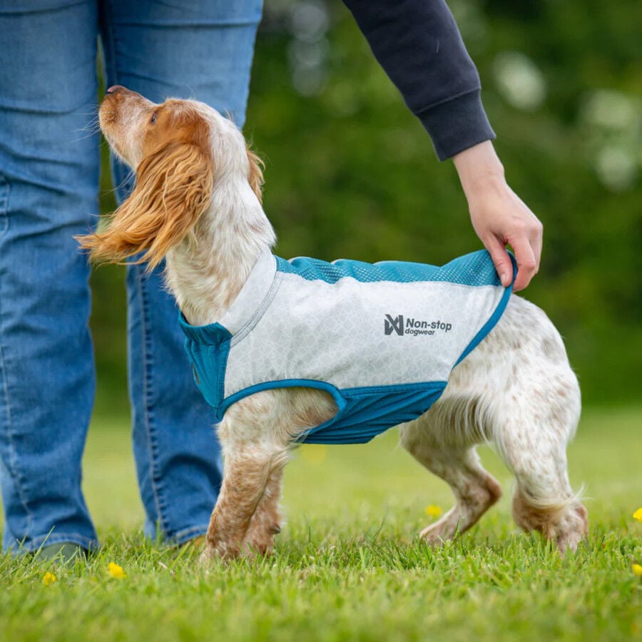 Non-stop Dogwear Chaleco Refrescante Pull-On Gris para perros, , large indicador imagen numero 5