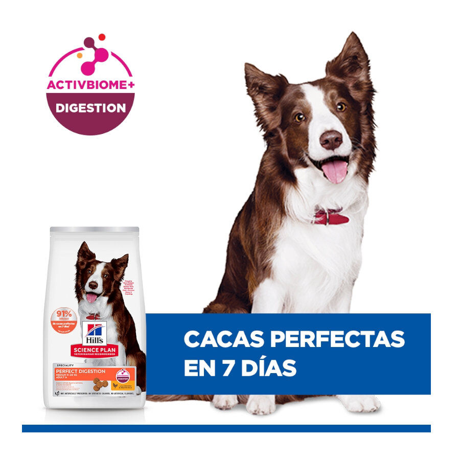 14 kg Hill's Science Plan Perfect Digestion Adult Medium Pollo pienso para perros, , large indicador imagen numero 5
