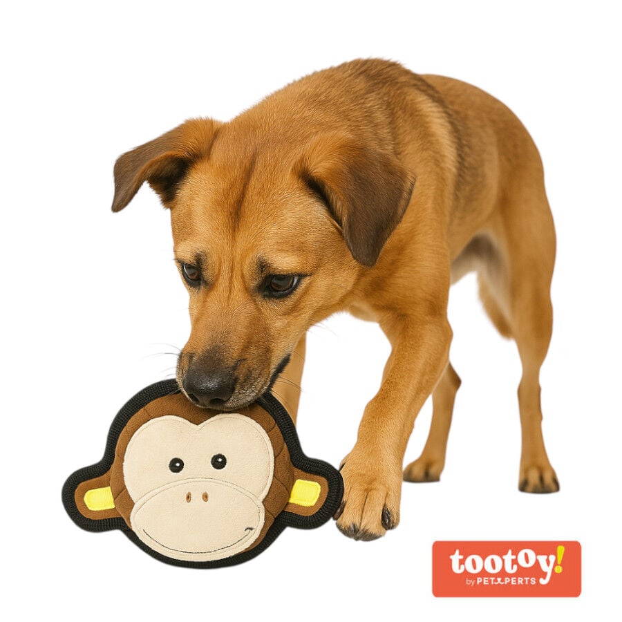 Tootoy! UResist Monkey Cuddler peluche resistente para perros, , large indicador imagen numero 1
