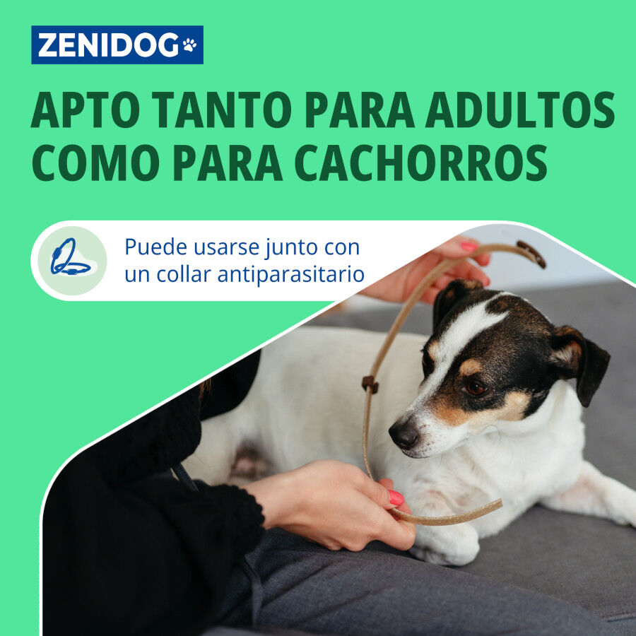 Virbac Zenidog Collar Calmante para cachorros y perros peque&ntilde;os, , large Imagen numero 5