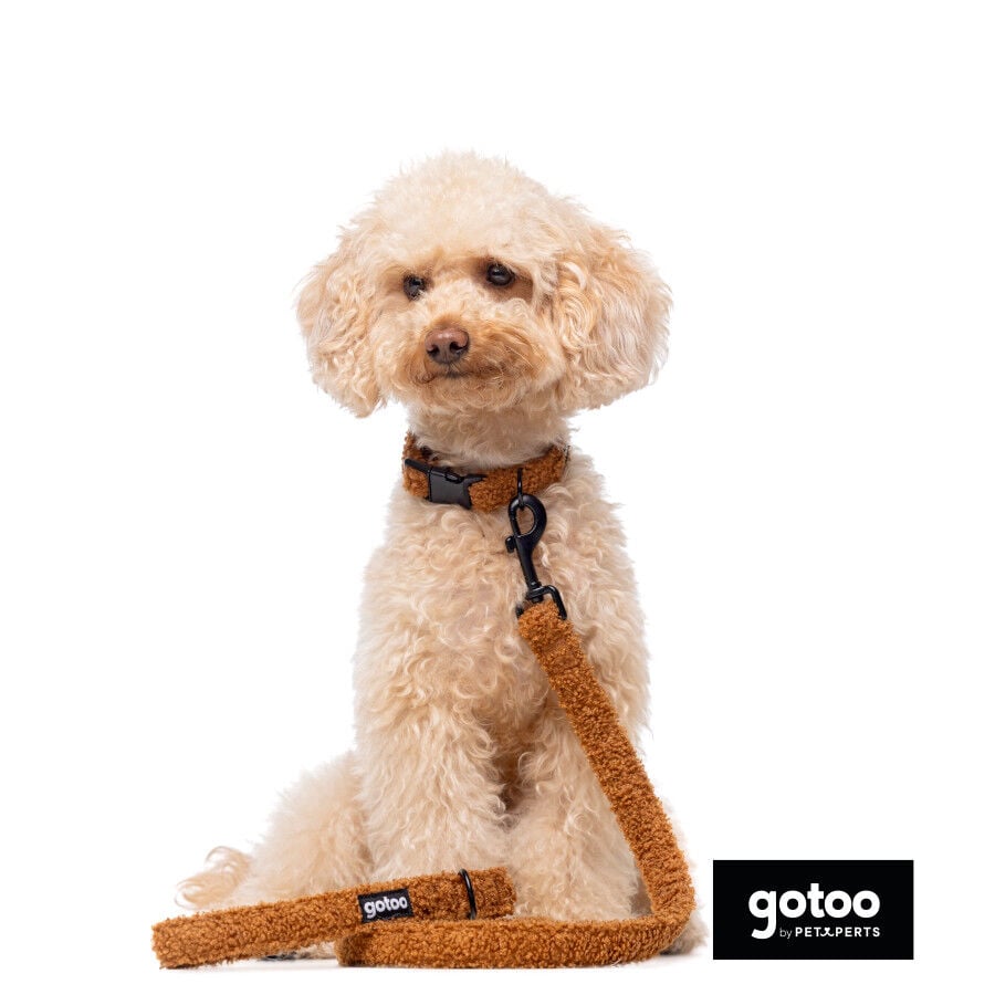 Gotoo Correa teddy marr&oacute;n para perros, , large indicador imagen numero 3