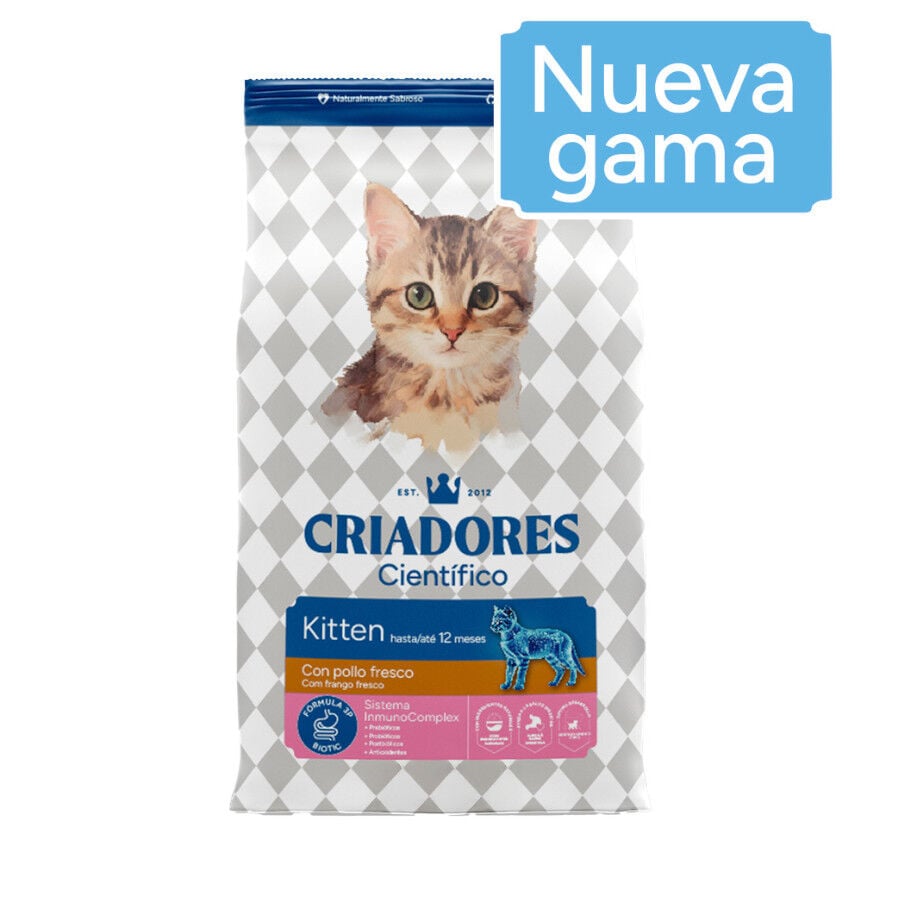 Criadores Cient&iacute;fico Kitten pollo pienso para gatos