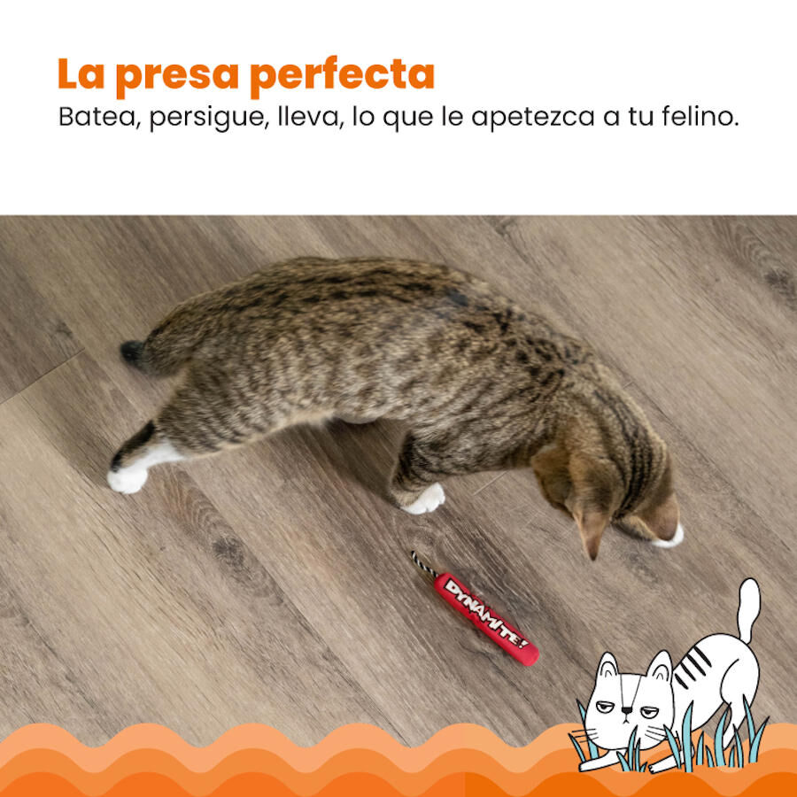 Catstages Green Magic Dynamite Rojo Peluche para gatos, , large Imagen numero 2