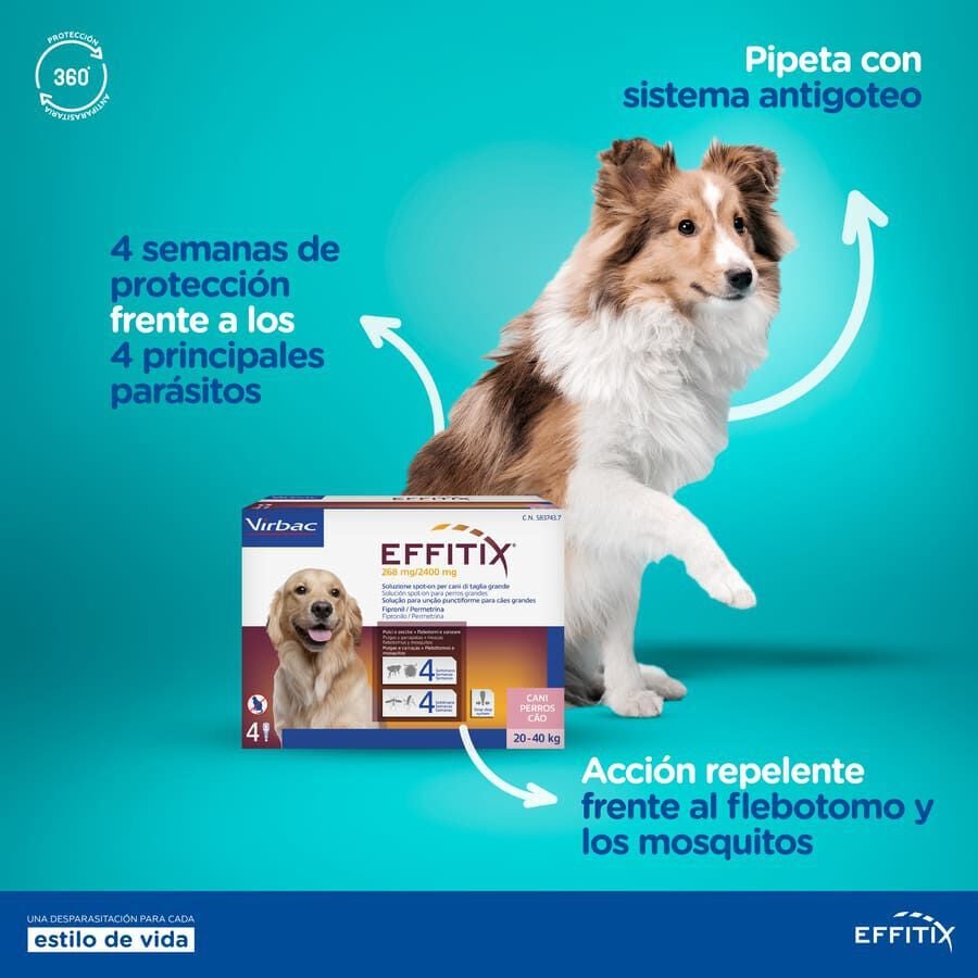 Effitix Antiparasitario en Pipetas para perros, , large Imagen numero 6