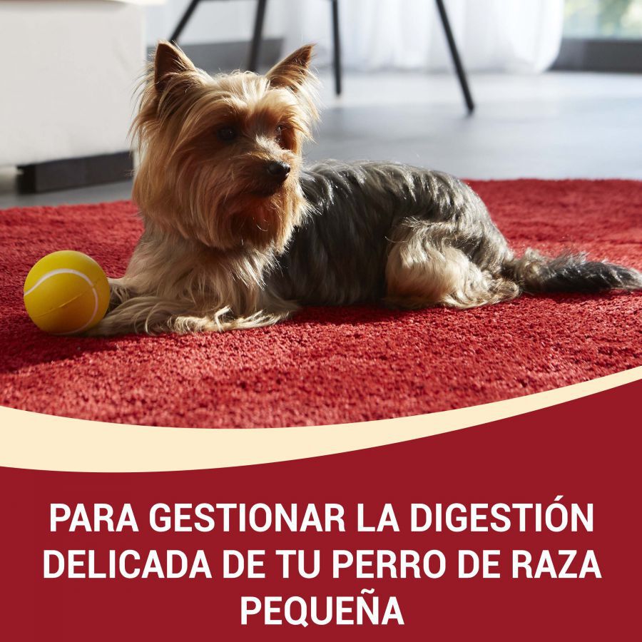 1.5 kg Purina One Adult Mini Bifensis Sensitive Salm&oacute;n y Arroz pienso para perros, , large indicador imagen numero 2