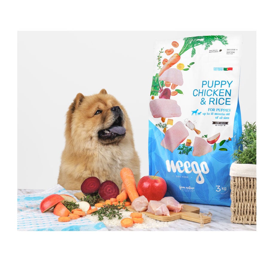Weego Puppy Pollo y Arroz pienso para perros, , large Imagen numero 4