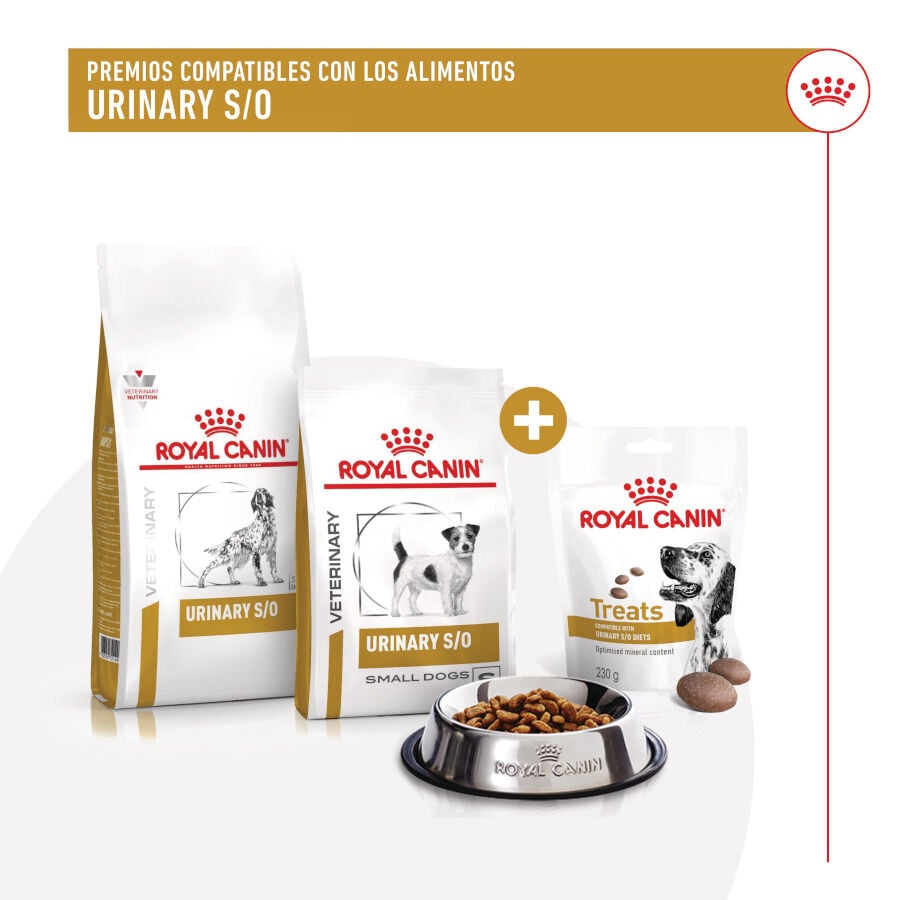 230 g Royal Canin Treats Urinary Snacks para perros, , large Imagen numero 8