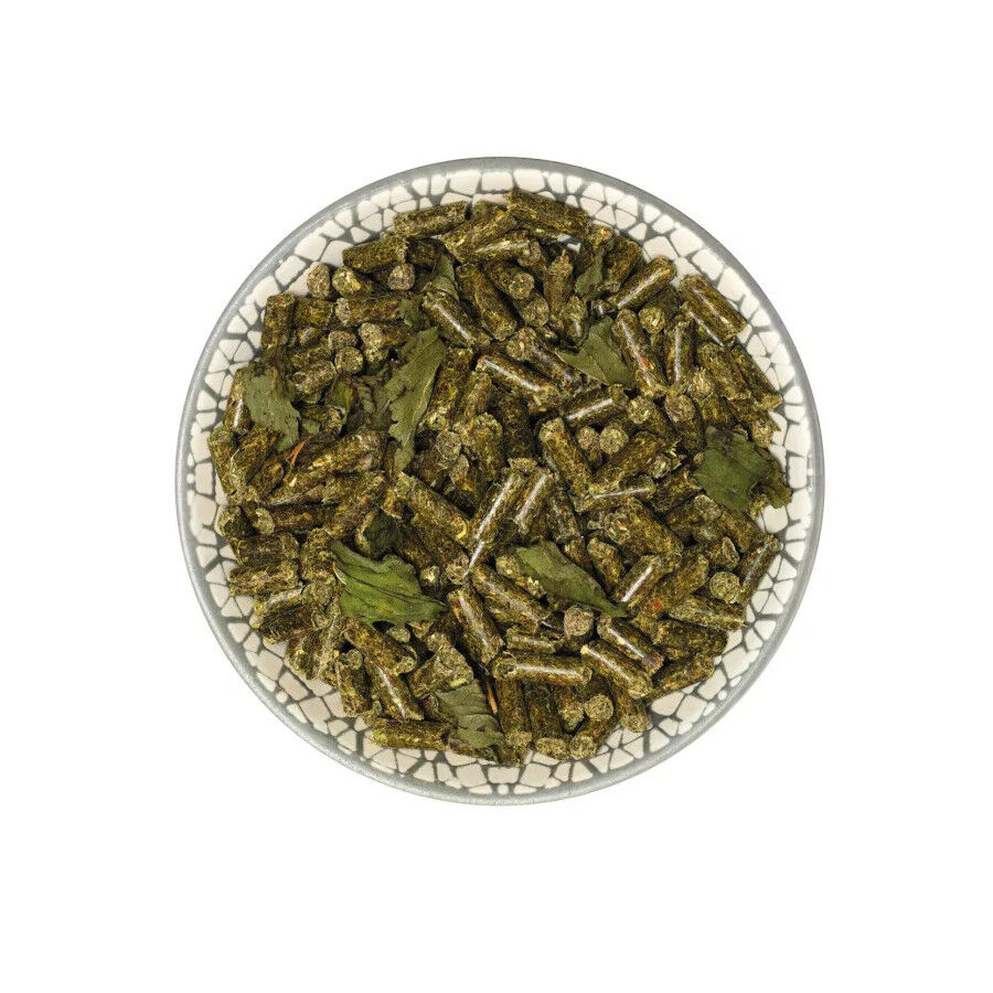 Bunny Nature GuineaPigDream Basic Pienso para cobayas, , large indicador imagen numero 2