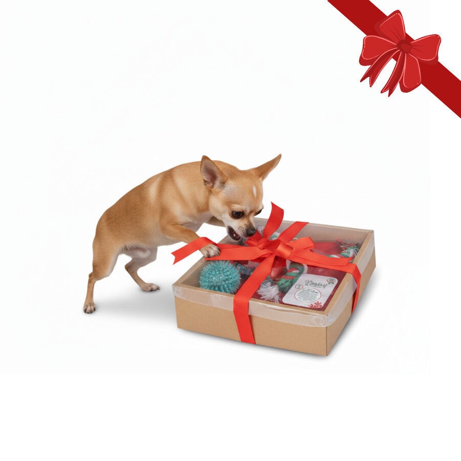 Wonder Christmas Caja de Juguetes Navide&ntilde;os para perros