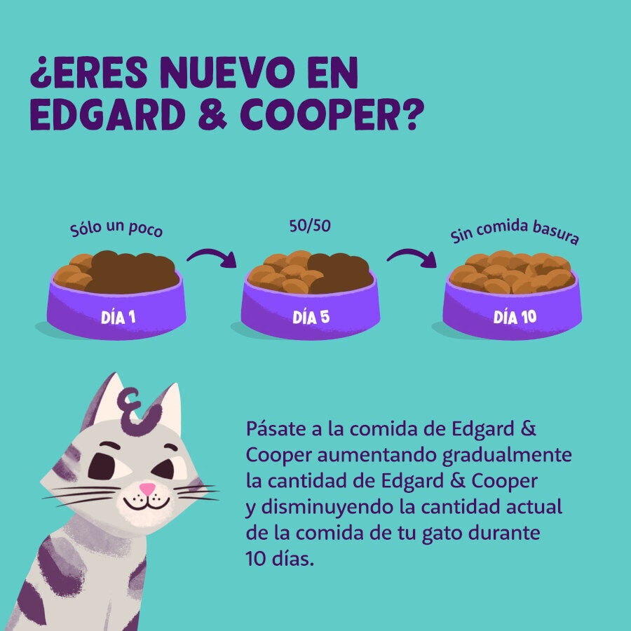 85 g Edgard & Cooper Adult Pollo Ecol&oacute;gico en Pat&eacute; tarrina para gatos, , large indicador imagen numero 4