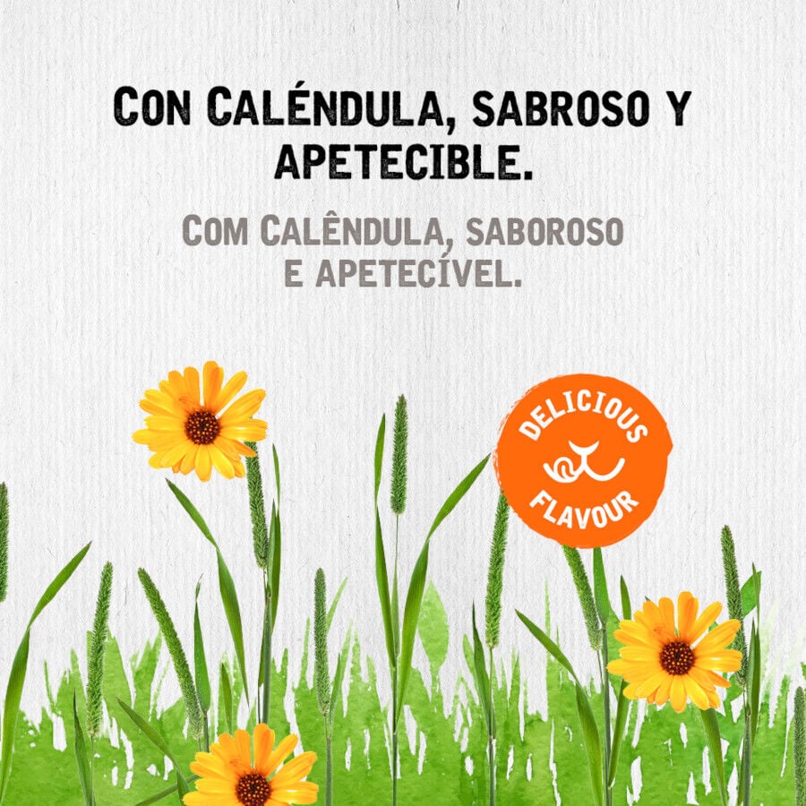 Small Life Heno Timothy con Calendura para roedores, , large indicador imagen numero 3