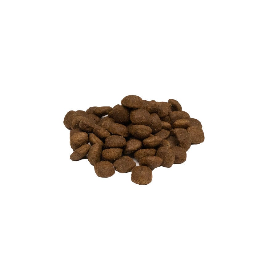 2 kg Weego Grain Free Light Gourmet Pavo pienso para perros&nbsp;, , large Imagen numero 2