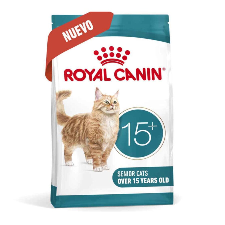 4 kg Royal Canin Ageing +15 pienso para gato senior&nbsp;, , large indicador imagen numero 2