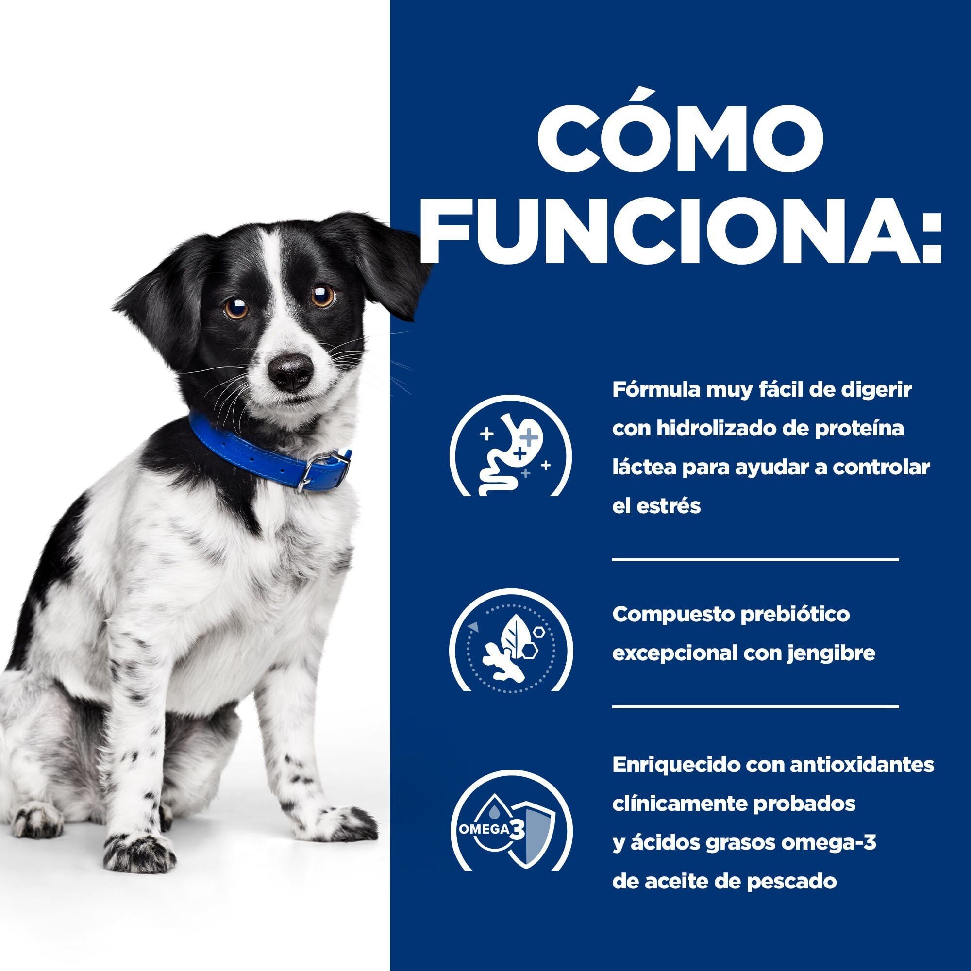 6 kg Hill's Prescription Diet Mini Digestive Care Stress i/d pienso para perros, , large indicador imagen numero 3